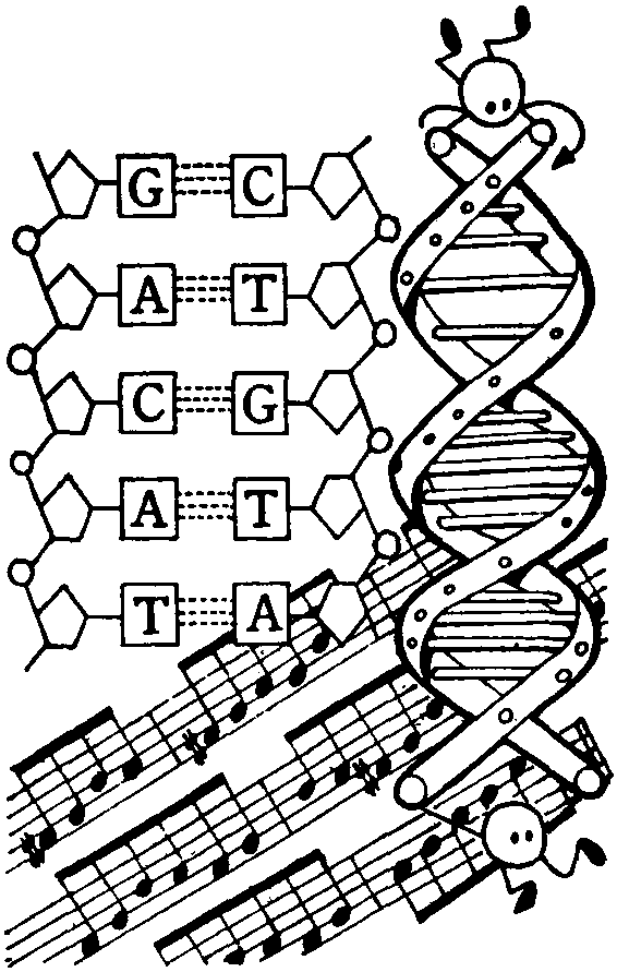 DNA音樂(lè)